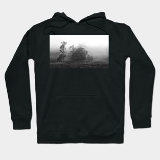 Foggy Morning II Hoodie